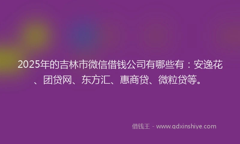 2025年的吉林市微信借钱公司有哪些有：安逸花、团贷网、东方汇、惠商贷、微粒贷等。