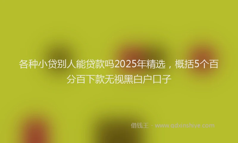 各种小贷别人能贷款吗2025年精选，概括5个百分百下款无视黑白户口子