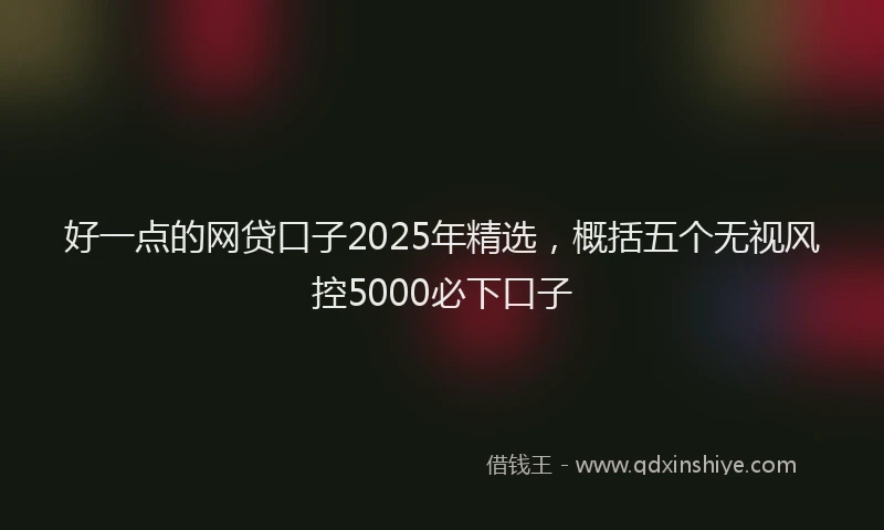 好一点的网贷口子2025年精选，概括五个无视风控5000必下口子