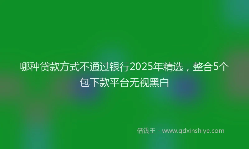 哪种贷款方式不通过银行2025年精选，整合5个包下款平台无视黑白