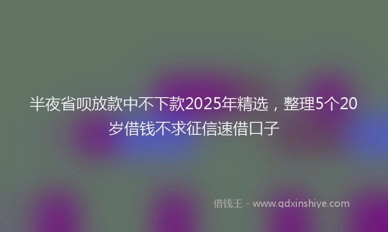 半夜省呗放款中不下款2025年精选，整理5个20岁借钱不求征信速借口子