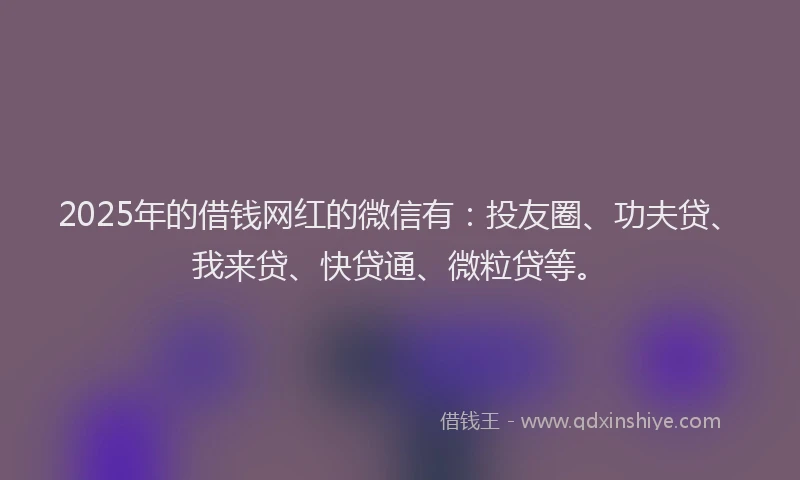 2025年的借钱网红的微信有：投友圈、功夫贷、我来贷、快贷通、微粒贷等。