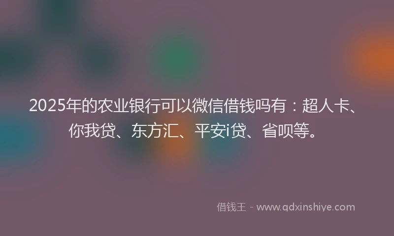 2025年的农业银行可以微信借钱吗有：超人卡、你我贷、东方汇、平安i贷、省呗等。