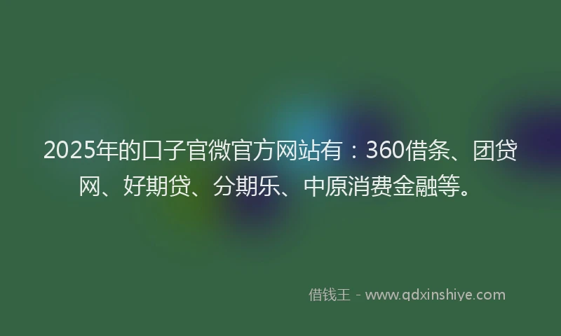 2025年的口子官微官方网站有：360借条、团贷网、好期贷、分期乐、中原消费金融等。