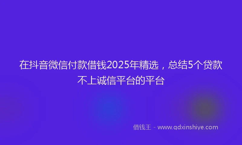 在抖音微信付款借钱2025年精选，总结5个贷款不上诚信平台的平台