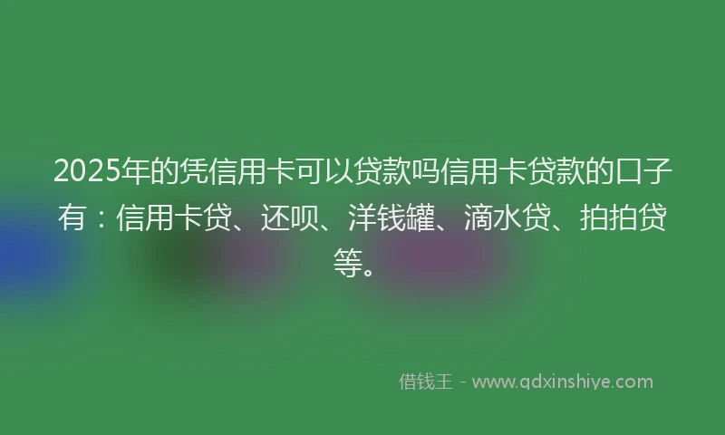 2025年的凭信用卡可以贷款吗信用卡贷款的口子有：信用卡贷、还呗、洋钱罐、滴水贷、拍拍贷等。