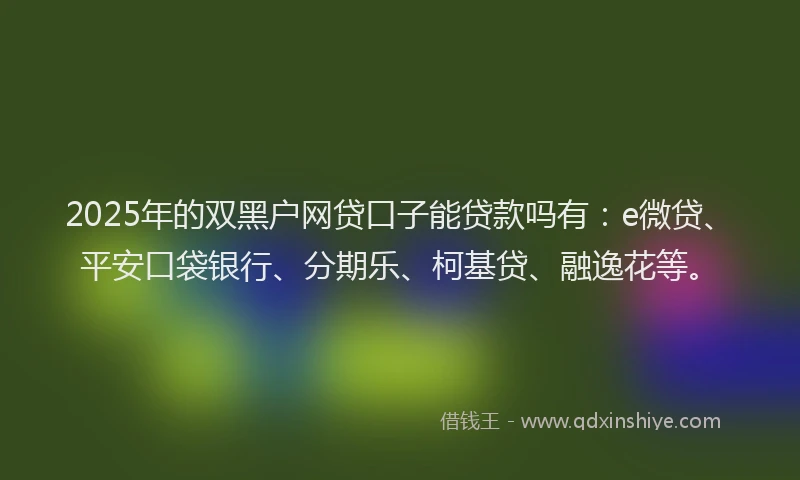 2025年的双黑户网贷口子能贷款吗有：e微贷、平安口袋银行、分期乐、柯基贷、融逸花等。