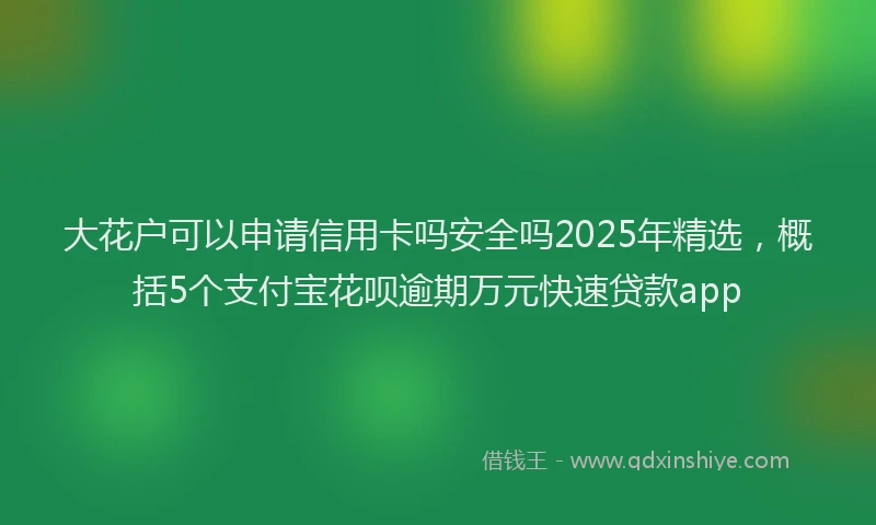 大花户可以申请信用卡吗安全吗2025年精选，概括5个支付宝花呗逾期万元快速贷款app