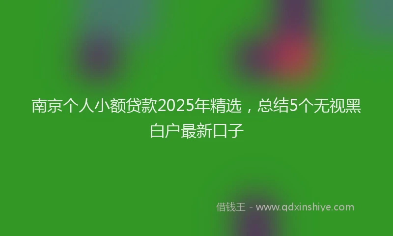 南京个人小额贷款2025年精选，总结5个无视黑白户最新口子
