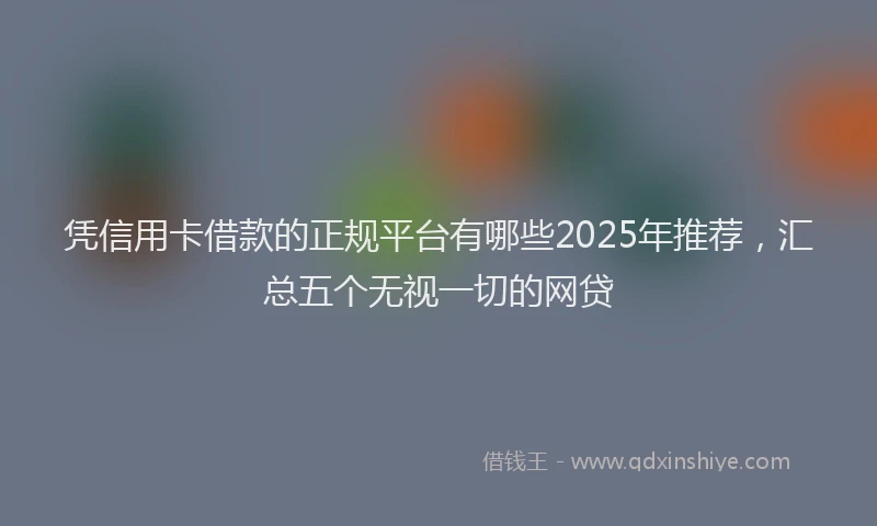 凭信用卡借款的正规平台有哪些2025年推荐，汇总五个无视一切的网贷