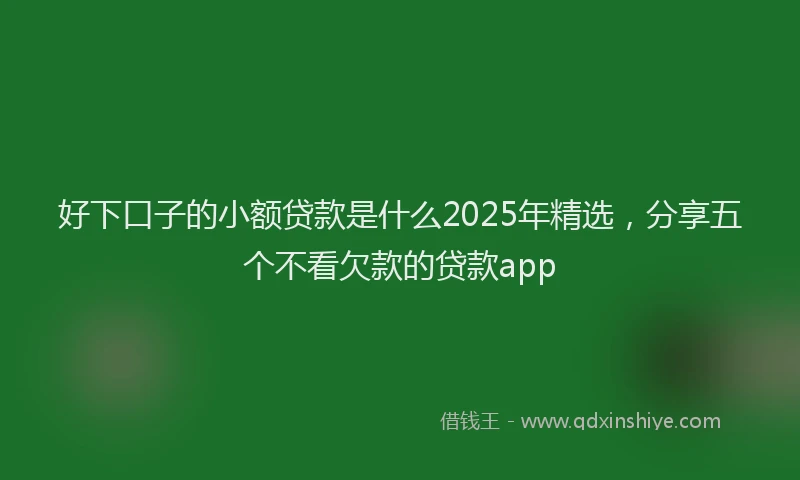 好下口子的小额贷款是什么2025年精选，分享五个不看欠款的贷款app