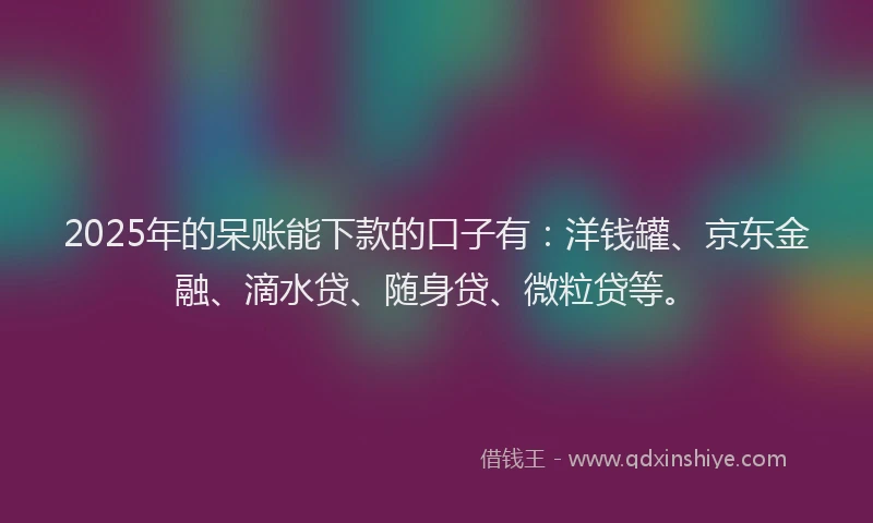 2025年的呆账能下款的口子有：洋钱罐、京东金融、滴水贷、随身贷、微粒贷等。