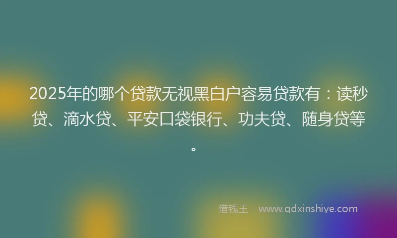 2025年的哪个贷款无视黑白户容易贷款有：读秒贷、滴水贷、平安口袋银行、功夫贷、随身贷等。