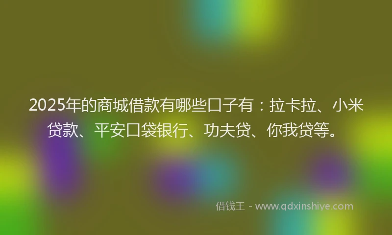 2025年的商城借款有哪些口子有：拉卡拉、小米贷款、平安口袋银行、功夫贷、你我贷等。