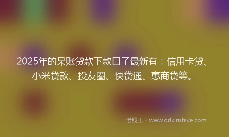 2025年的呆账贷款下款口子最新有：信用卡贷、小米贷款、投友圈、快贷通、惠商贷等。