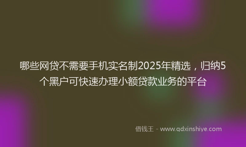 哪些网贷不需要手机实名制2025年精选，归纳5个黑户可快速办理小额贷款业务的平台