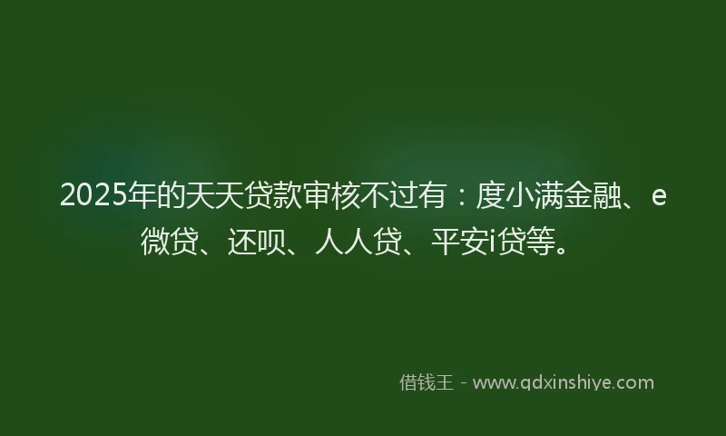 2025年的天天贷款审核不过有：度小满金融、e微贷、还呗、人人贷、平安i贷等。