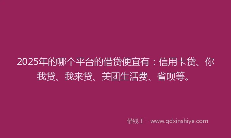 2025年的哪个平台的借贷便宜有：信用卡贷、你我贷、我来贷、美团生活费、省呗等。