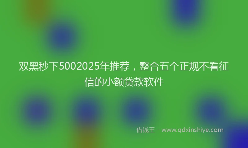 双黑秒下5002025年推荐，整合五个正规不看征信的小额贷款软件