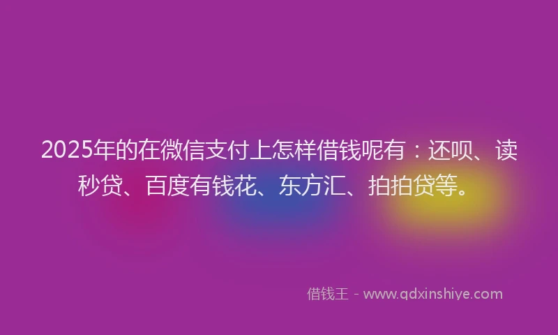 2025年的在微信支付上怎样借钱呢有：还呗、读秒贷、百度有钱花、东方汇、拍拍贷等。