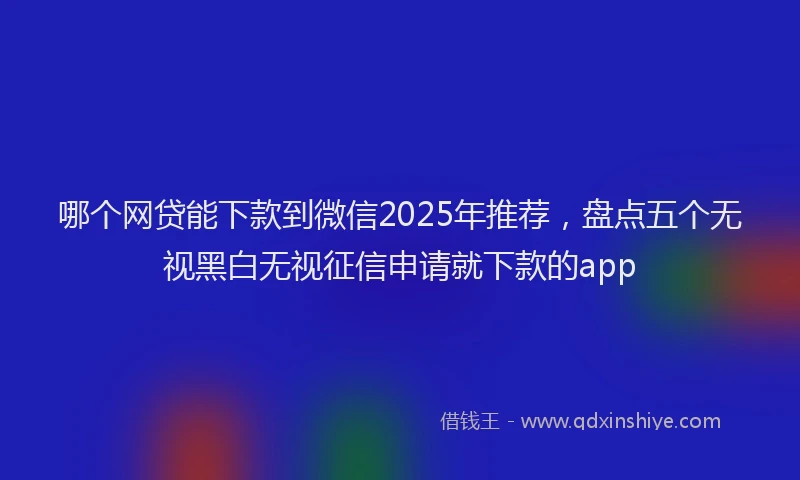 哪个网贷能下款到微信2025年推荐，盘点五个无视黑白无视征信申请就下款的app