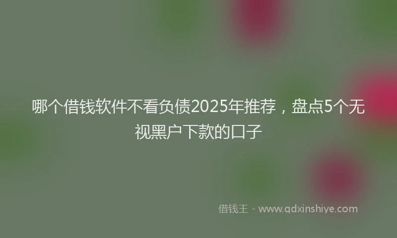 哪个借钱软件不看负债2025年推荐，盘点5个无视黑户下款的口子