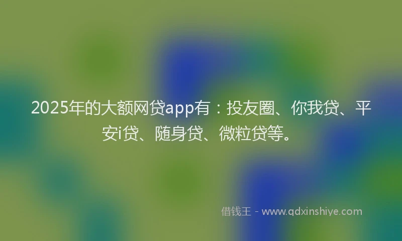 2025年的大额网贷app有：投友圈、你我贷、平安i贷、随身贷、微粒贷等。