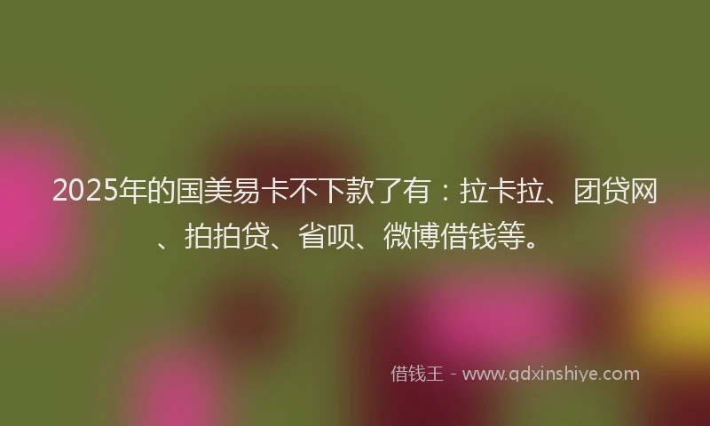 2025年的国美易卡不下款了有：拉卡拉、团贷网、拍拍贷、省呗、微博借钱等。