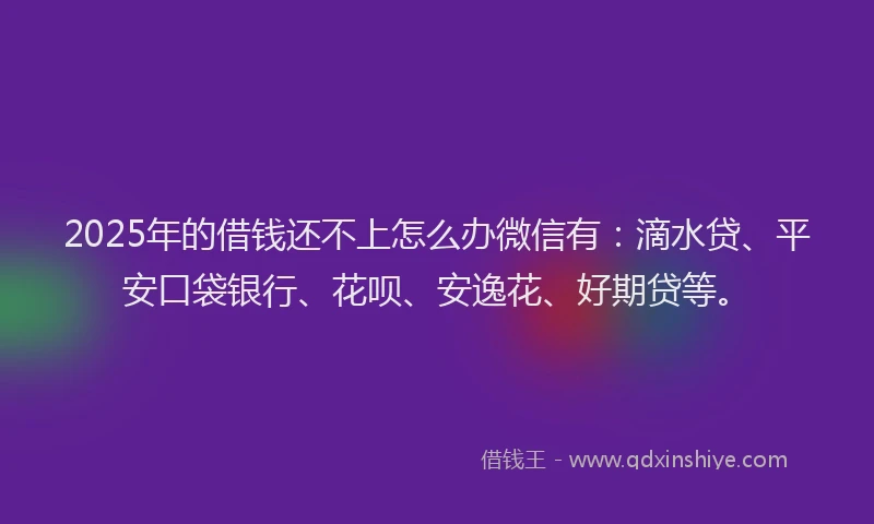 2025年的借钱还不上怎么办微信有：滴水贷、平安口袋银行、花呗、安逸花、好期贷等。