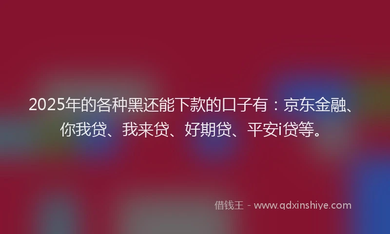 2025年的各种黑还能下款的口子有：京东金融、你我贷、我来贷、好期贷、平安i贷等。