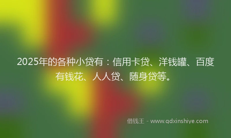 2025年的各种小贷有：信用卡贷、洋钱罐、百度有钱花、人人贷、随身贷等。