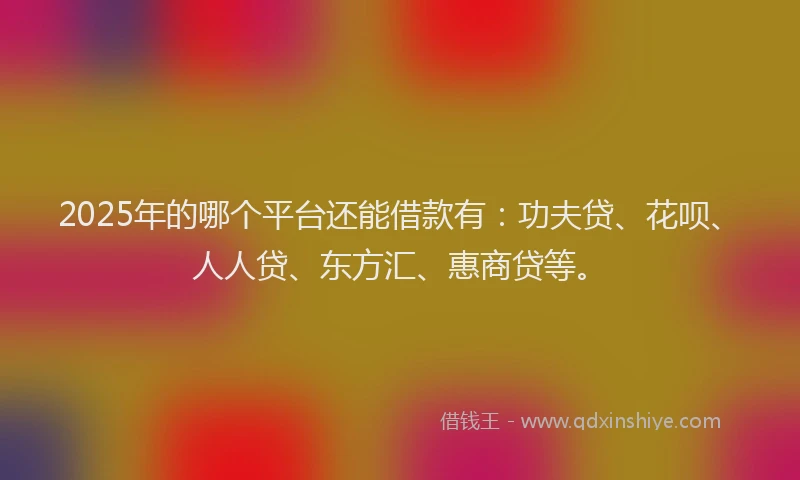 2025年的哪个平台还能借款有：功夫贷、花呗、人人贷、东方汇、惠商贷等。
