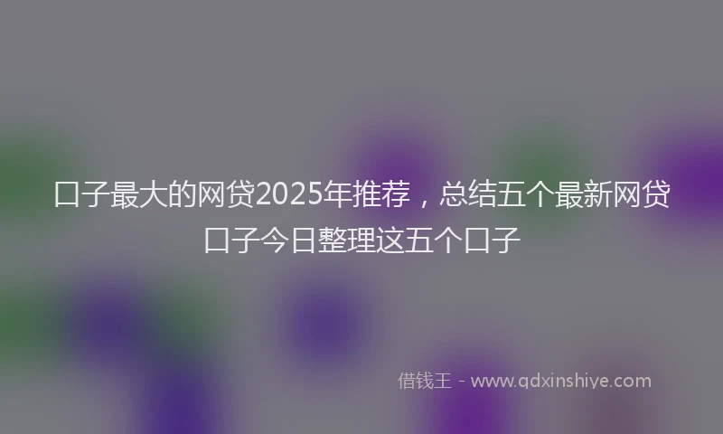 口子最大的网贷2025年推荐，总结五个最新网贷口子今日整理这五个口子