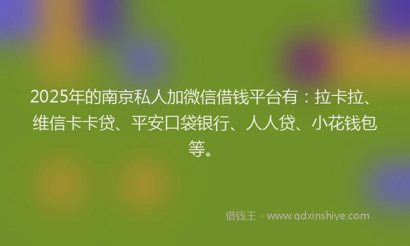 2025年的南京私人加微信借钱平台有：拉卡拉、维信卡卡贷、平安口袋银行、人人贷、小花钱包等。