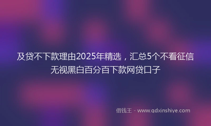 及贷不下款理由2025年精选，汇总5个不看征信无视黑白百分百下款网贷口子