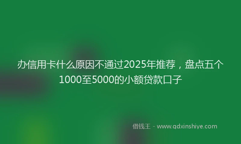 办信用卡什么原因不通过2025年推荐，盘点五个1000至5000的小额贷款口子