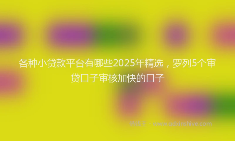 各种小贷款平台有哪些2025年精选，罗列5个审贷口子审核加快的口子