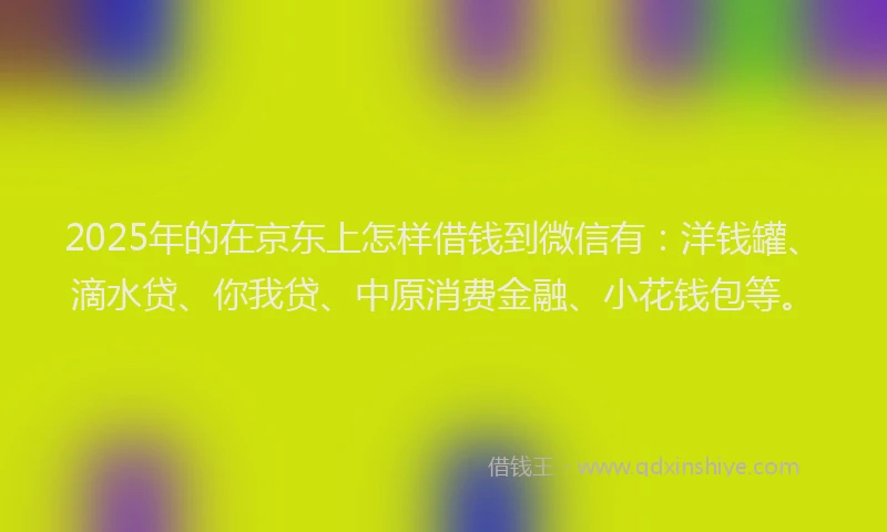 2025年的在京东上怎样借钱到微信有：洋钱罐、滴水贷、你我贷、中原消费金融、小花钱包等。
