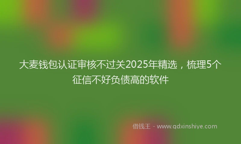 大麦钱包认证审核不过关2025年精选，梳理5个征信不好负债高的软件
