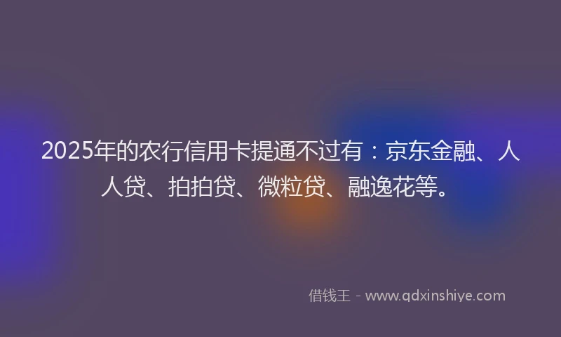 2025年的农行信用卡提通不过有：京东金融、人人贷、拍拍贷、微粒贷、融逸花等。