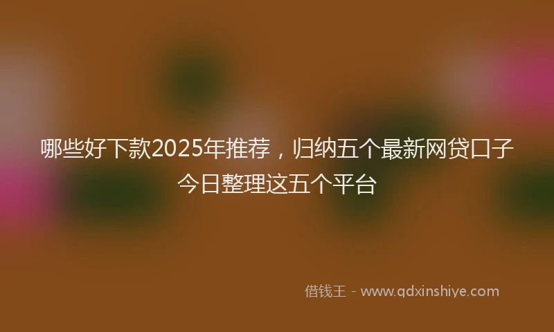 哪些好下款2025年推荐，归纳五个最新网贷口子今日整理这五个平台
