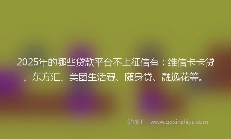 2025年的哪些贷款平台不上征信有：维信卡卡贷、东方汇、美团生活费、随身贷、融逸花等。