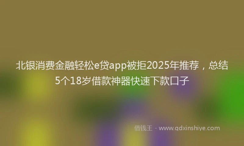 北银消费金融轻松e贷app被拒2025年推荐，总结5个18岁借款神器快速下款口子