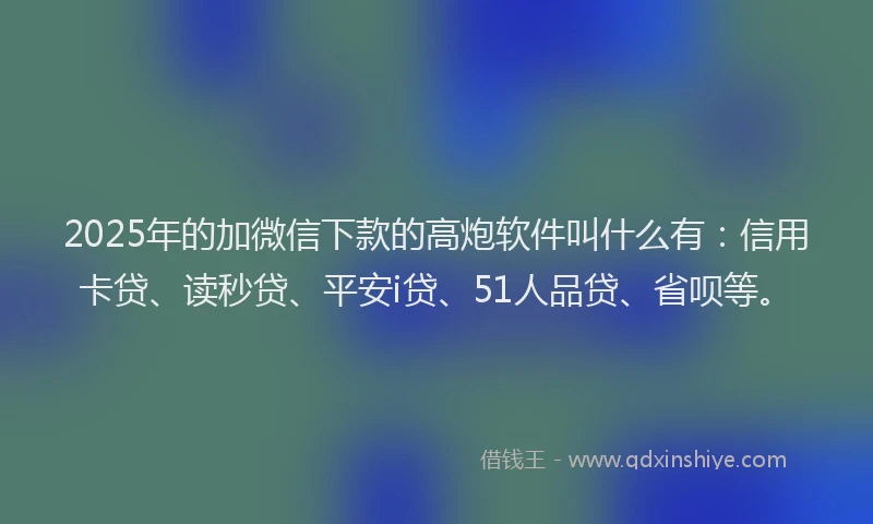2025年的加微信下款的高炮软件叫什么有：信用卡贷、读秒贷、平安i贷、51人品贷、省呗等。