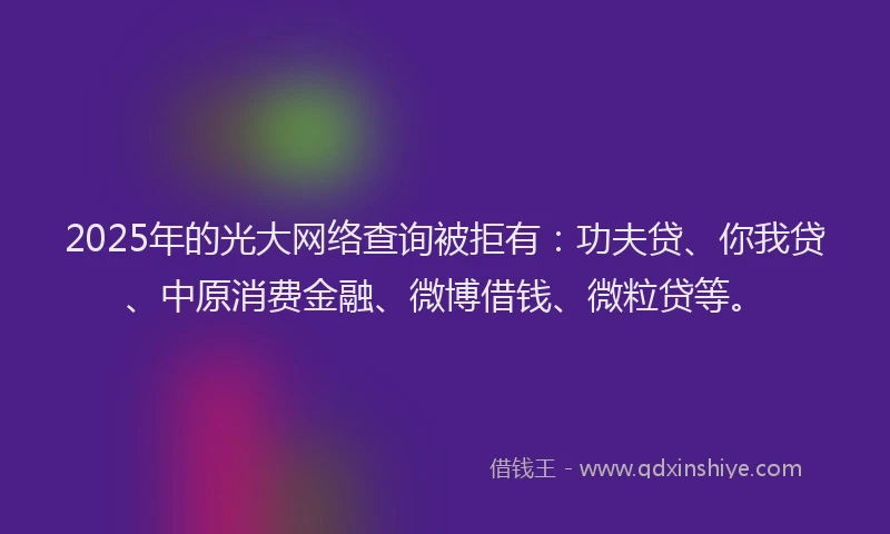 2025年的光大网络查询被拒有：功夫贷、你我贷、中原消费金融、微博借钱、微粒贷等。