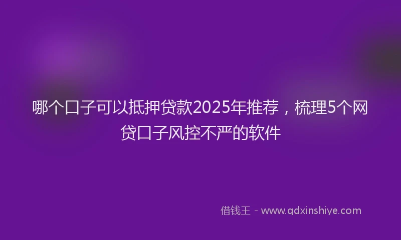 哪个口子可以抵押贷款2025年推荐，梳理5个网贷口子风控不严的软件