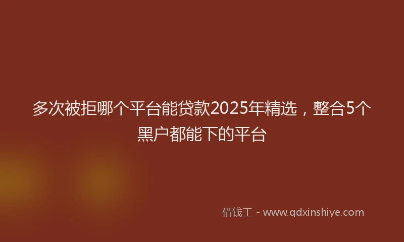 多次被拒哪个平台能贷款2025年精选，整合5个黑户都能下的平台
