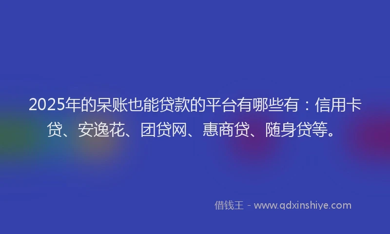 2025年的呆账也能贷款的平台有哪些有：信用卡贷、安逸花、团贷网、惠商贷、随身贷等。