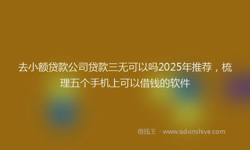 去小额贷款公司贷款三无可以吗2025年推荐，梳理五个手机上可以借钱的软件