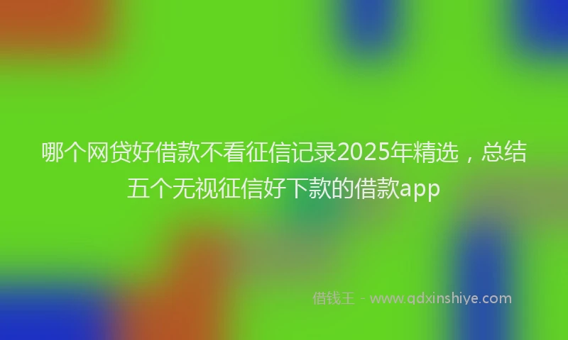 哪个网贷好借款不看征信记录2025年精选，总结五个无视征信好下款的借款app
